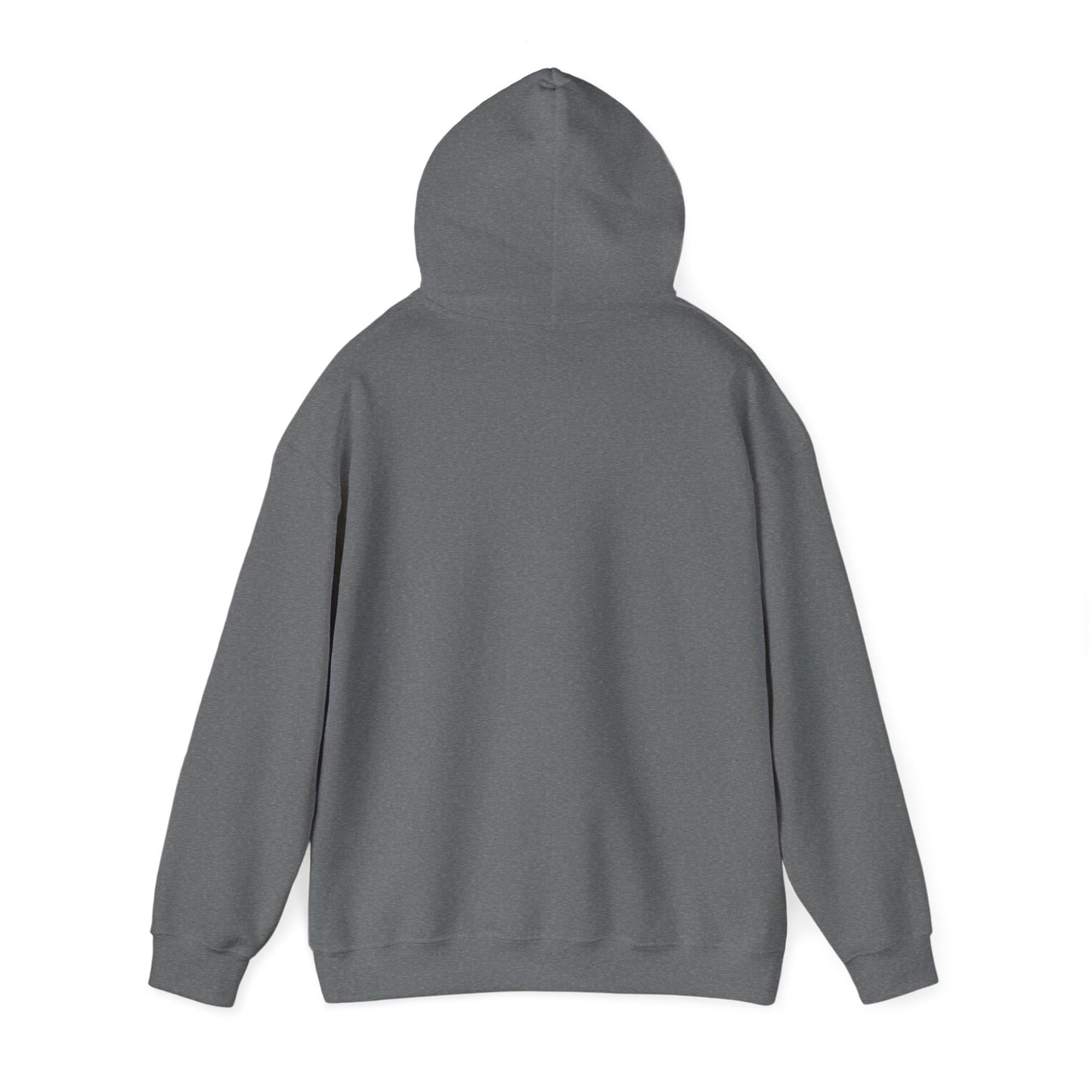 CG "Found" Hooded Sweatshirt*